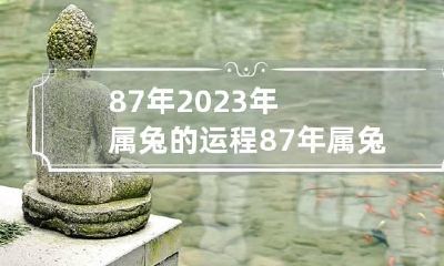 87年2023年属兔的运程 87年属兔人2023年运势咋样