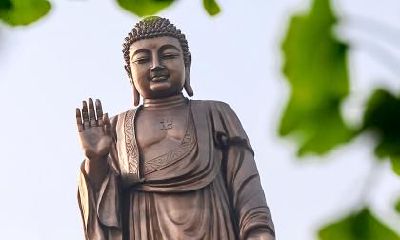 龙年元旦出生的人命理与运势解析