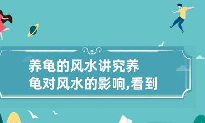 养龟的风水讲究 养龟对风水的影响,看到吓一跳!