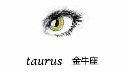金牛座眼睛