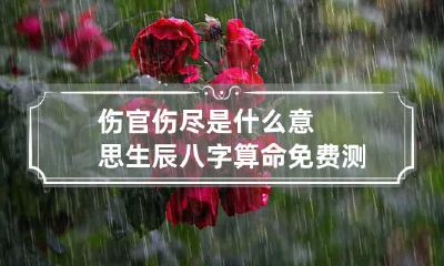 伤官伤尽是什么意思 生辰八字算命免费测试