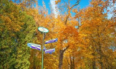 农历十月是什么月？农历十月是秋季还是冬季？