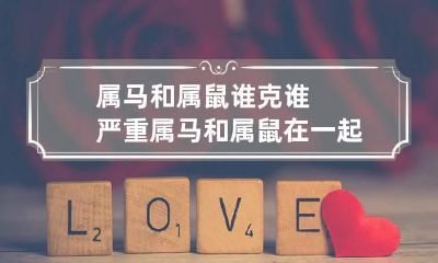 属马和属鼠谁克谁严重 属马和属鼠在一起有财运吗