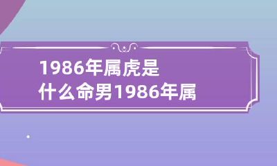 1986年属虎是什么命男 1986年属虎是啥命