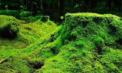 2022年是不是无春年？无春年有什么禁忌？