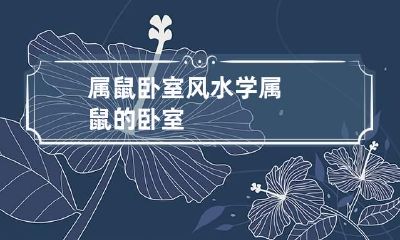 属鼠卧室风水学 属鼠的卧室