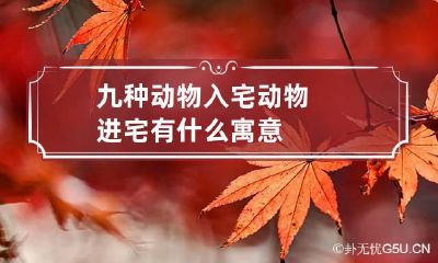 九种动物入宅 动物进宅有什么寓意