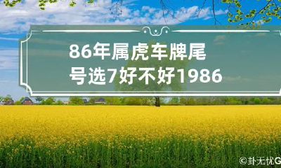 86年属虎车牌尾号选7好不好 1986属虎车牌号吉凶字母