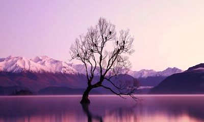 62年的虎2022年运势怎样 晚年运势好不好