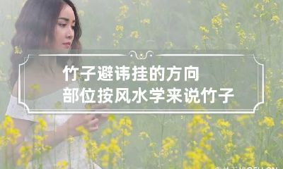 竹子避讳挂的方向部位 按风水学来说竹子放哪个位置