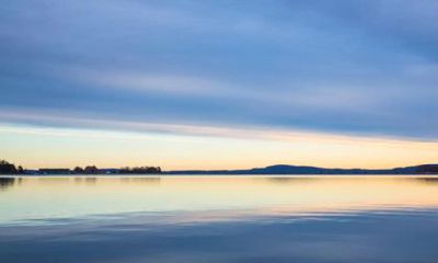 86年虎2022年运势怎么样男 运势受到凶星干扰