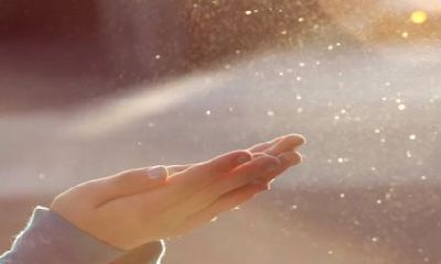 88年的龙2022年运势怎么样 34岁生肖龙全年运势