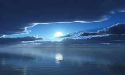 90年的马2022年运势怎么样 财运相当不错