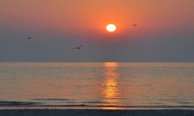 90年马2022年运势如何男 90年的属马男虎年运势