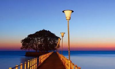 71年的猪男2022年的全程运势 会有感情危机