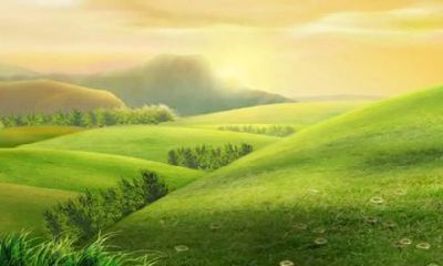 74年的虎男2022年的全程运势 晚年运势状况