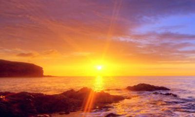 85年的牛2022年的运势男 婚姻感情怎么样