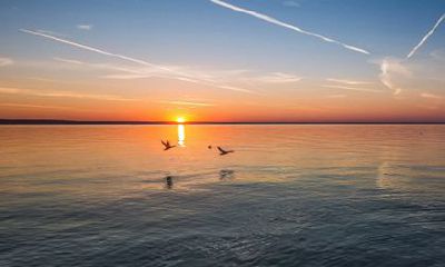 92年的猴子2022年运势怎么样 属猴今年运程如何