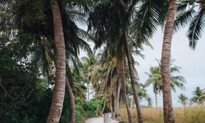 2021年七月廿二出生的女孩怎么样?未来运势如何