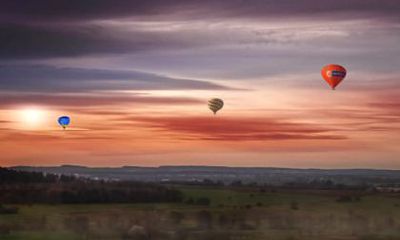2022年80年猴男的全年运势如何 今年有婚姻吗
