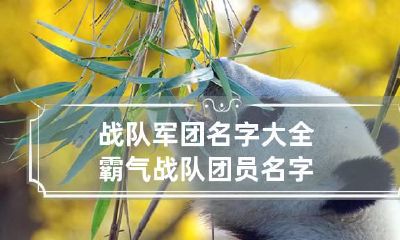 战队军团名字大全霸气 战队团员名字