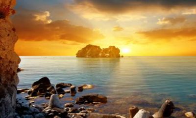 70年的狗2022年的运势及运程 财运运势一般