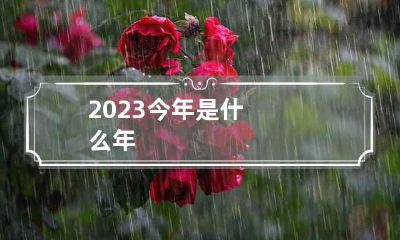 2023今年是什么年