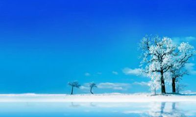 86年的虎在2022年的运势如何 36岁生肖虎运势详解