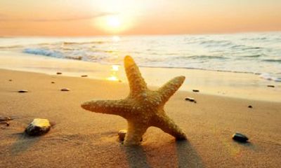 86年虎2022年运势怎么样 本命年整年运势解读