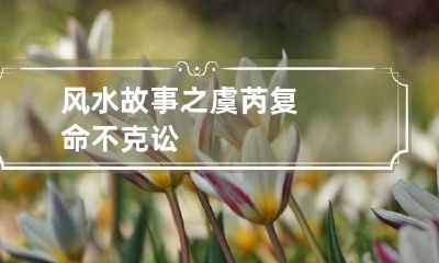 风水故事之虞芮复命不克讼