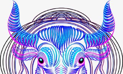 爱在金牛情浓时