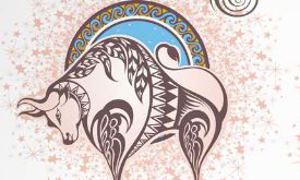 金牛座求欢识别信号