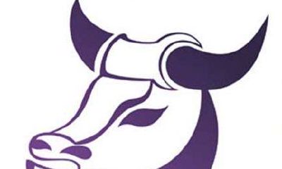 金牛女和狮子男配对