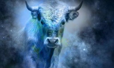 金牛男和巨蟹女配对