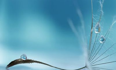 2022猴适合戴的生肖 生肖蛇吉祥物