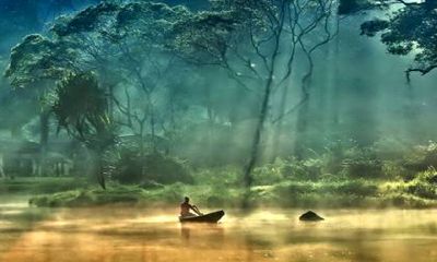 1969年鸡男2022年全年运势 53岁生肖鸡运势好不好