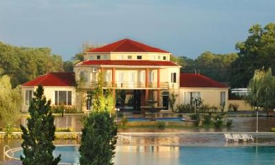 正月十五元宵佳节有什么传统民俗活动？