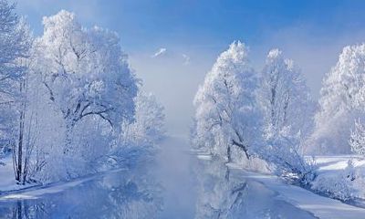 2022运势最好的生肖 属羊遇虎年扬眉吐气