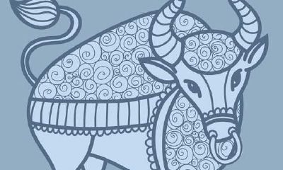 金牛男和水瓶女配对