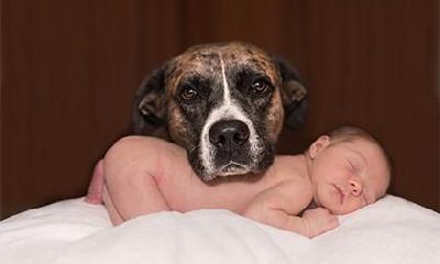 2019年农历十一月十七出生猪宝宝命运运势解析！