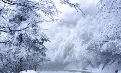 有关大寒的古诗词整理盘点