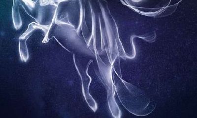 金牛女和巨蟹男配对