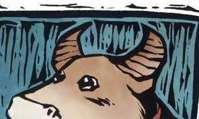 金牛女和金牛男配对