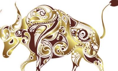 金牛男和双子女配对