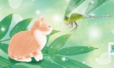 夏至是什么意思？夏至日有什么由来？