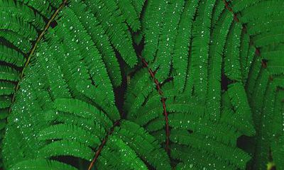 66年马人在2022年的运势 财运较为一般