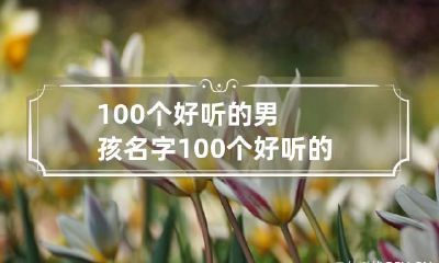 100个好听的男孩名字 100个好听的英文名