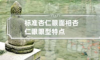 标准杏仁眼面相 杏仁眼眼型特点