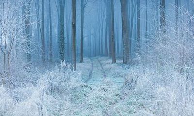 2022年心情最差的生肖女 生肖鸡运势低迷