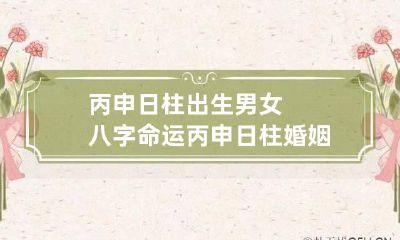 丙申日柱出生男女八字命运 丙申日柱婚姻真的很惨